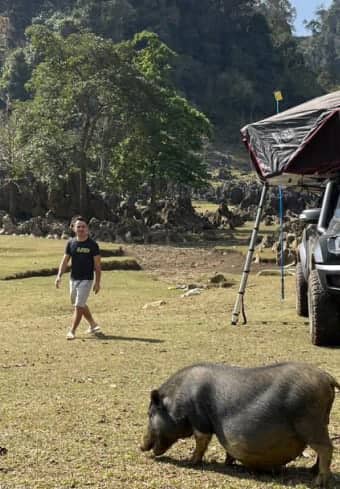 Rejsende i en tagteltscamp, der møder en lokal gris under vild camping i Vietnam