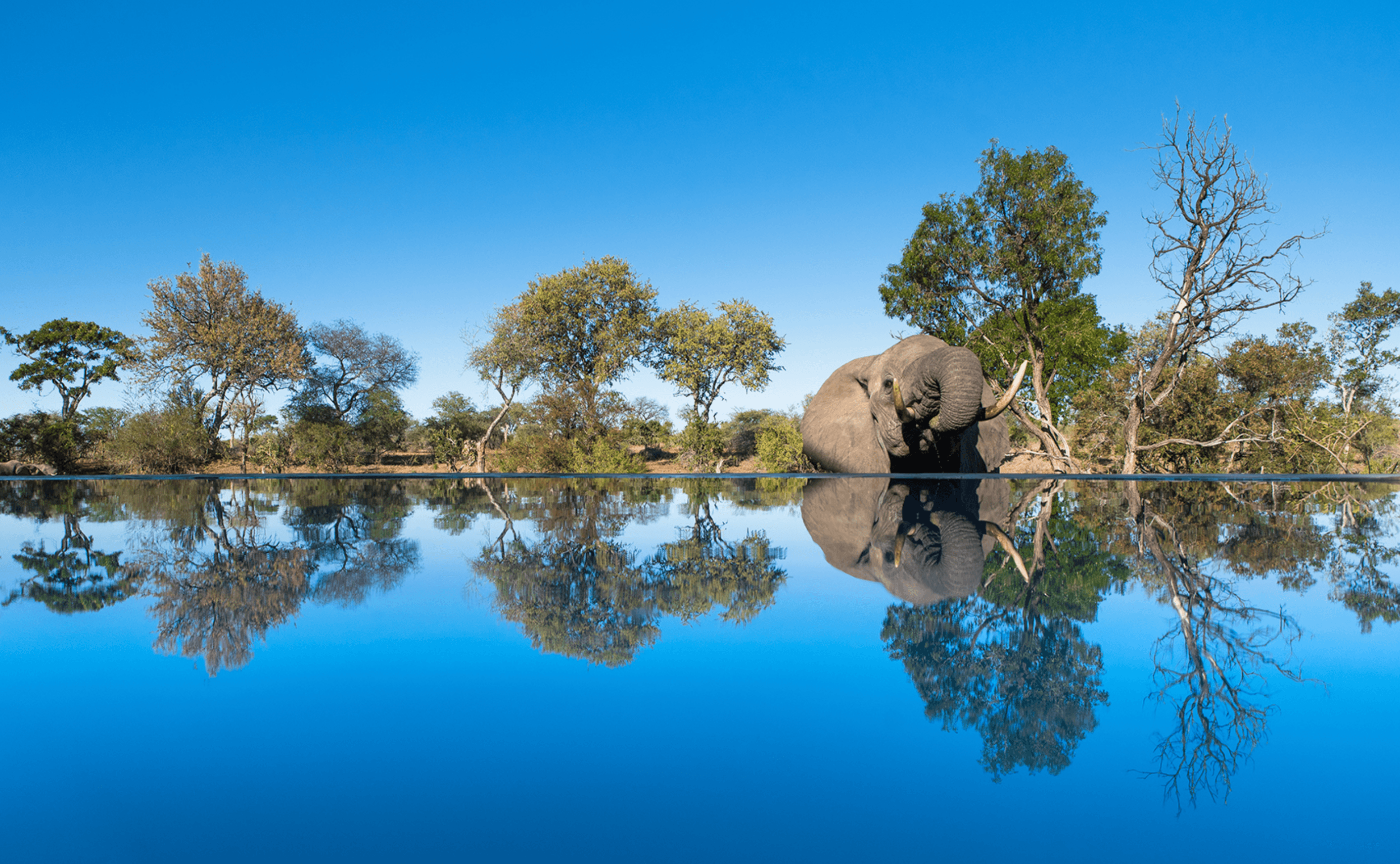 safari-accommodation-3-phase-from-the-sun-featured